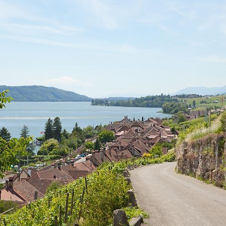 Alpes Et Lac La Neuveville Exteriér fotografie