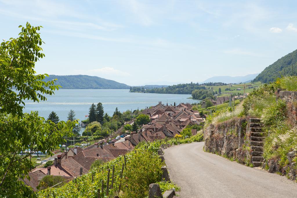 Alpes Et Lac La Neuveville Exteriér fotografie